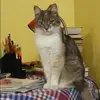 Отзыв от Кира Постникова